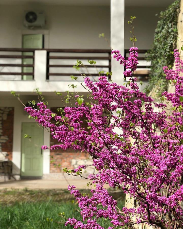 Heliopark Gora Bagrata Hotel Soechoemi Buitenkant foto